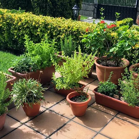 Un Paraiso Junto Al Mar