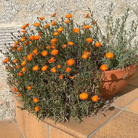 Дом отдыха Un Paraiso Junto Al Mar Буэу