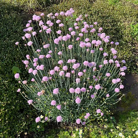 Un Paraiso Junto Al Mar *