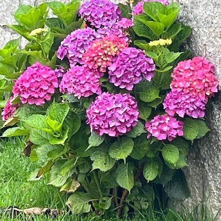 Un Paraiso Junto Al Mar Ferienhaus *