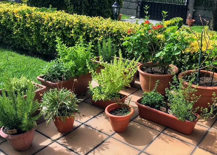 Un Paraiso Junto Al Mar