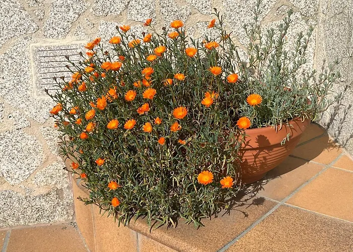 بيت للعطل Un Paraiso Junto Al Mar بْويوْ