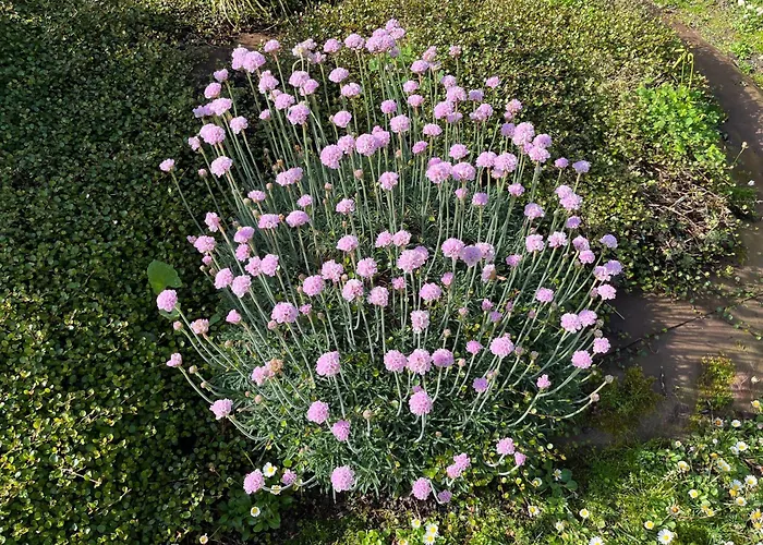 Un Paraiso Junto Al Mar *