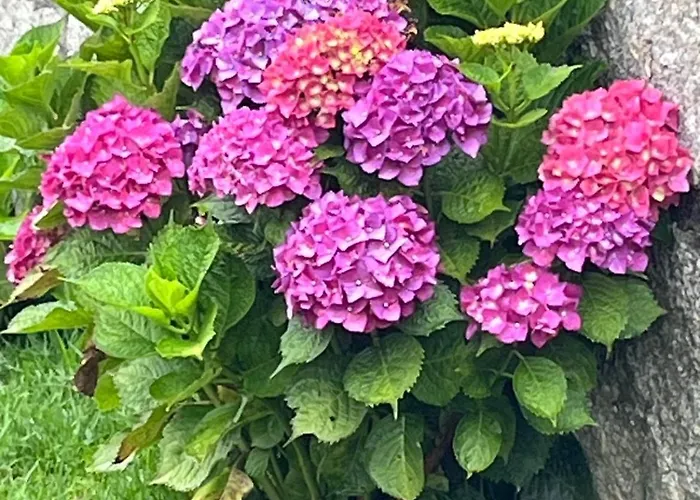 Un Paraiso Junto Al Mar Prázdninový dům *